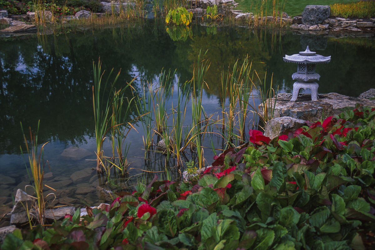 image: japanese garden